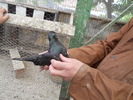 DSCN0890