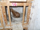 DSCN0893