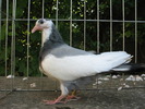 IMG_0361