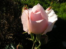 P1013579