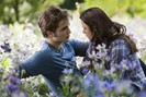 twilight-eclipse-2-550x366
