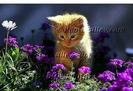 18485797SjYWhfnoqv_ph