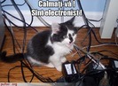 poza-amuzanta-pisica-rezolva-problema-cu-cablurile