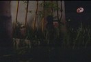BelindaPhotosCom_Caps_Capitulo_5_(80)