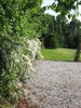 longue-haie-blanche-au-printemps