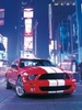 Shelby_Gt_500