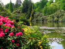 Sheffield Park, a National Trust Garden in East Sussex8