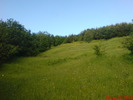 DSC02542
