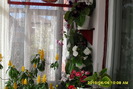 flori-05 003