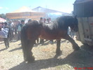 DSC02620