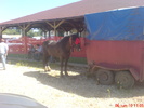DSC02629