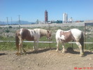 DSC02638