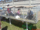 DSC02651