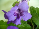 P1270017