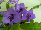 P1270018