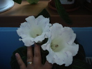 06.06.2010