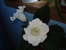 06.06.2010