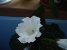 06.06.2010