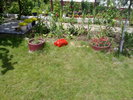 06062010350