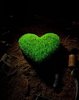 green-heart[1]