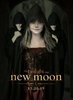 newmoonposterjane