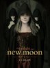 big jane new moon_volturii