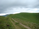 DSC05504
