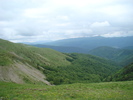 DSC05516