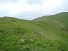 DSC05519