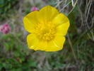 DSC05521