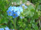 DSC05524