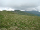 DSC05528