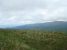 DSC05530
