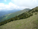 DSC05537