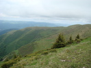 DSC05538
