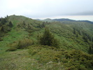 DSC05552