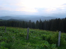 DSC05553