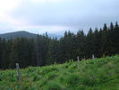 DSC05554