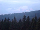 DSC05556