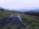 DSC05558
