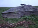 DSC05559