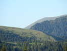 DSC05598
