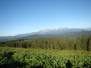 DSC05600