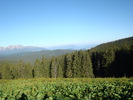 DSC05601