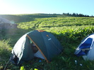 DSC05606
