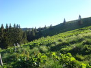 DSC05607