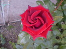 P5300027