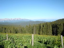 DSC05628