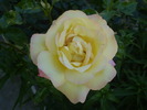 P5300030