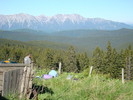 DSC05635
